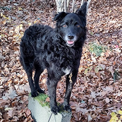 Urban Agility - Alltagshindernisse kreativ nutzen im Rahmen eines Social Walks