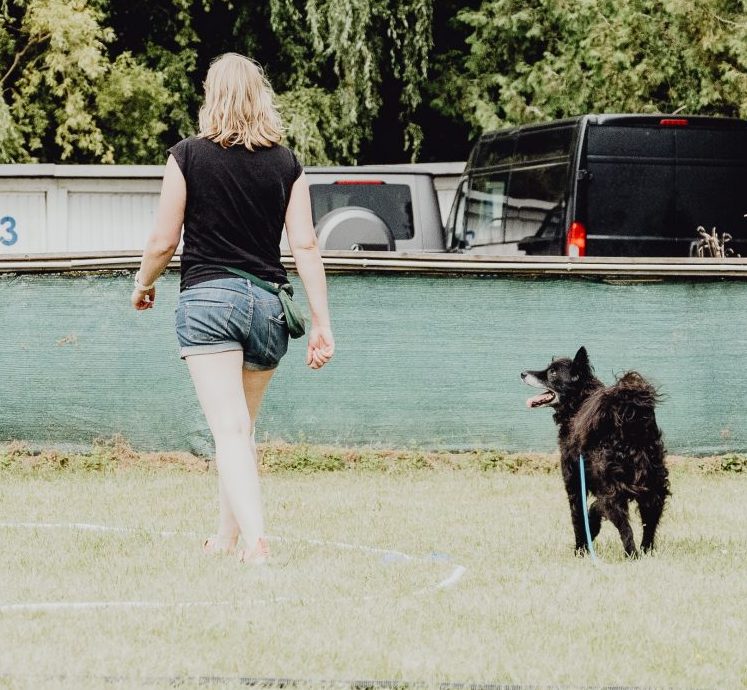 Jetzt in Hof: Longieren mit Hund