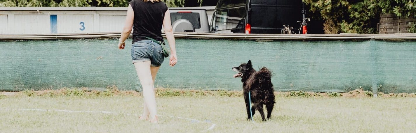 Hundetrainerin Sonja beim Longieren mit Kroatischem Schäferhund Garwin in der Hundeschule Hof – Fokus auf Körpersprache und Blickkontakt.